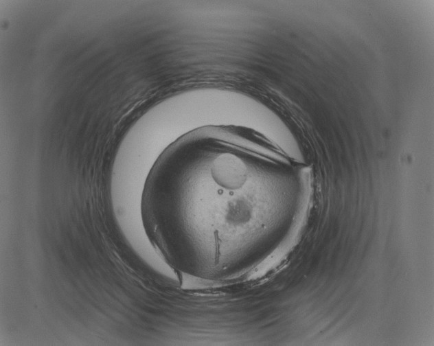 X0000083640556200703121722