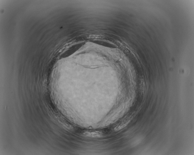 X0000083640557200703121722