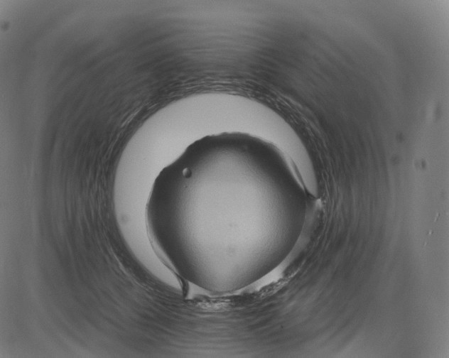 X0000083640560200703121722