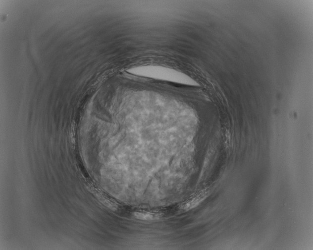 X0000083640561200703121722