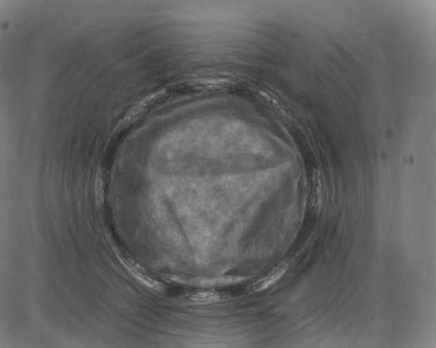 X0000083640562200703121722