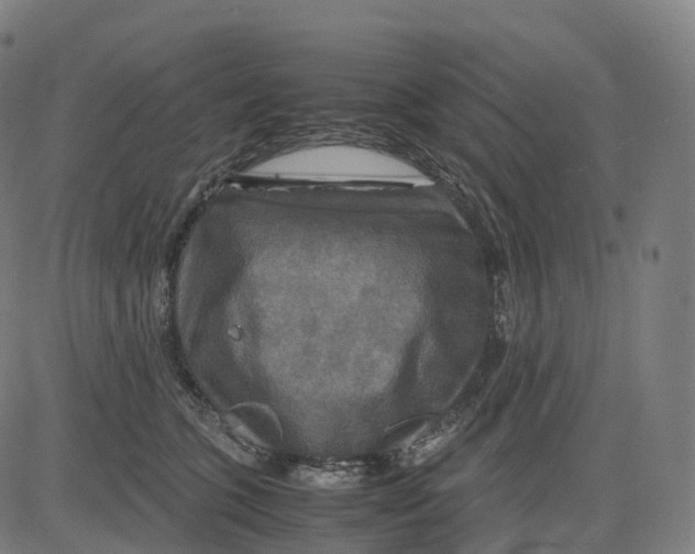 X0000083640563200703121722