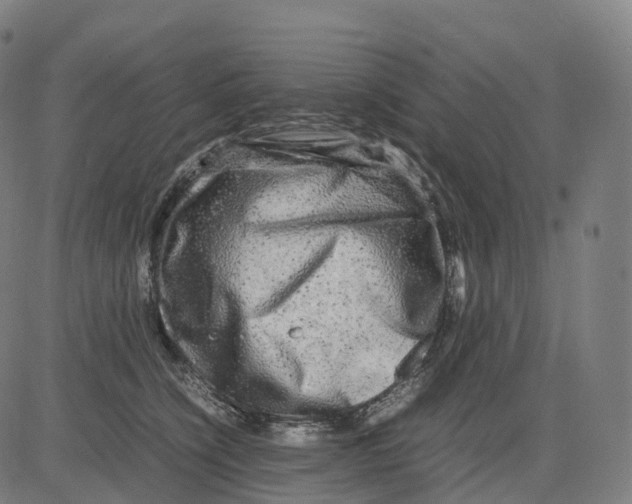 X0000083640564200703121722