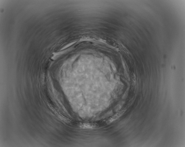 X0000083640565200703121722