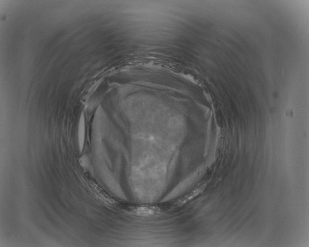 X0000083640566200703121722