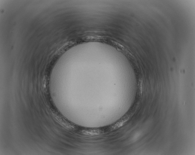 X0000083640567200703121722