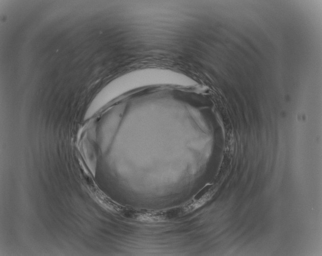 X0000083640568200703121722