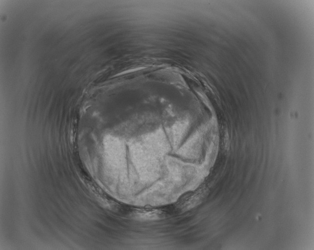 X0000083640569200703121722