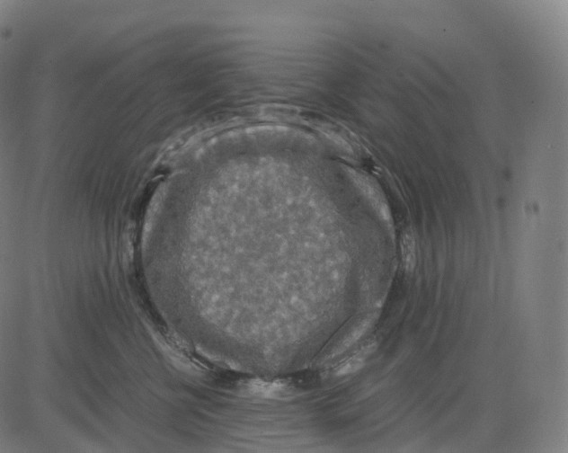 X0000083640570200703121723