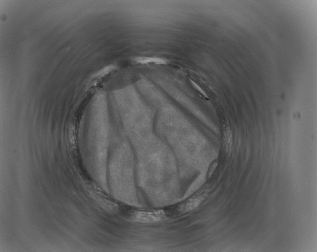 X0000083640571200703121723