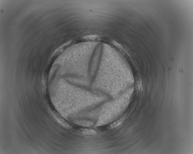 X0000083640572200703121723