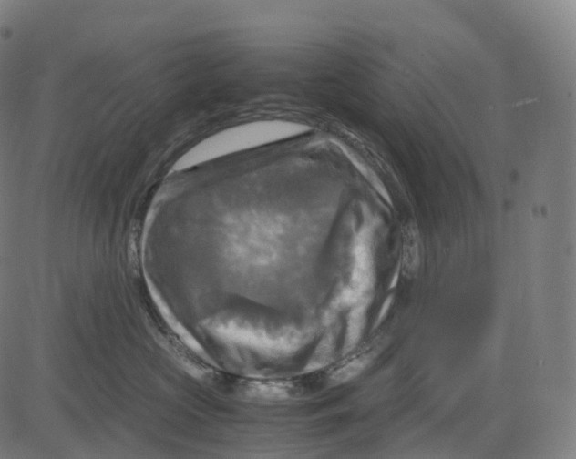 X0000083640573200703121723