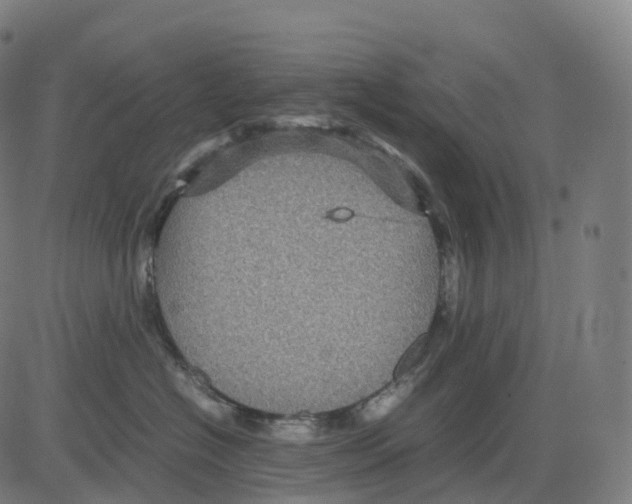 X0000083640574200703121723