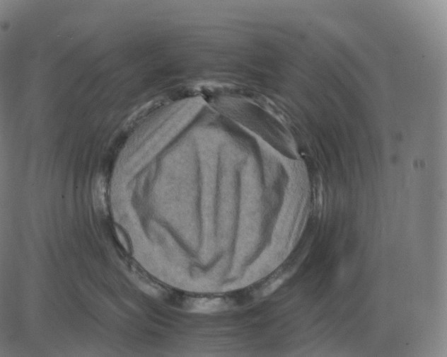 X0000083640575200703121723