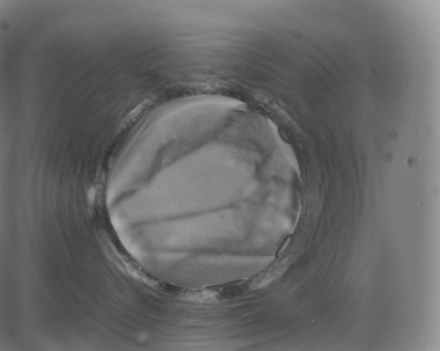 X0000083640576200703121723