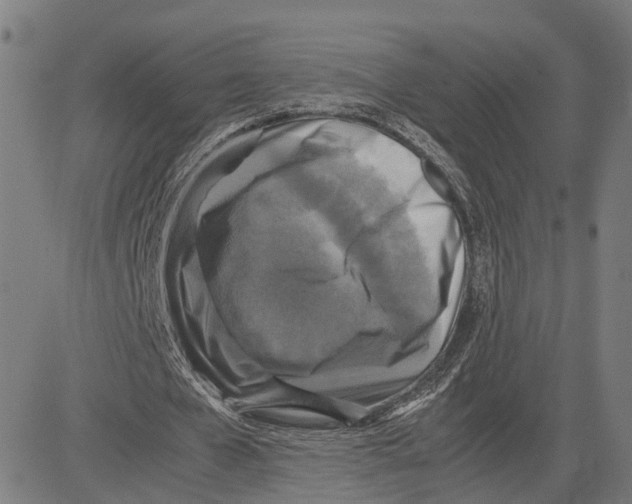 X0000083640577200703121722