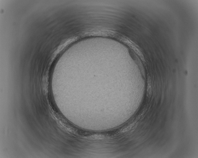 X0000083640578200703121722