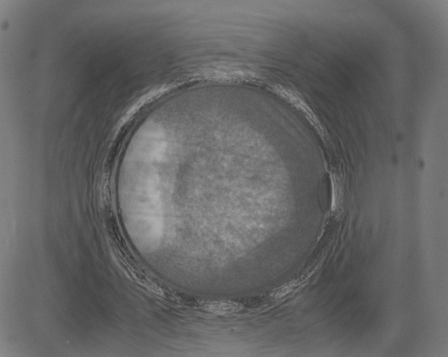 X0000083640579200703121722