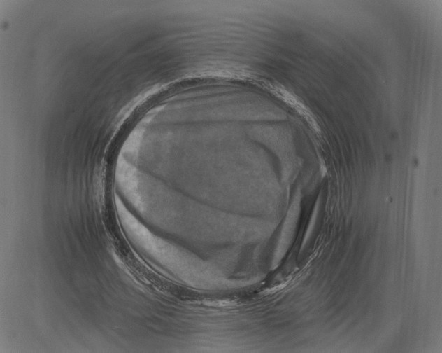 X0000083640580200703121722