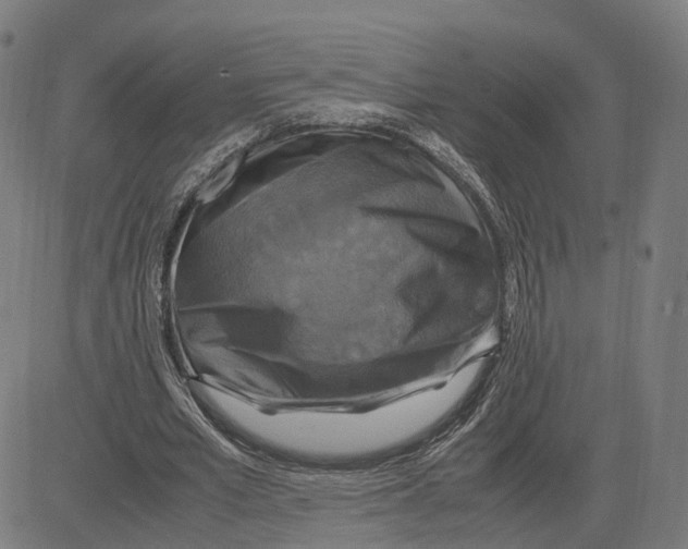 X0000083640581200703121722