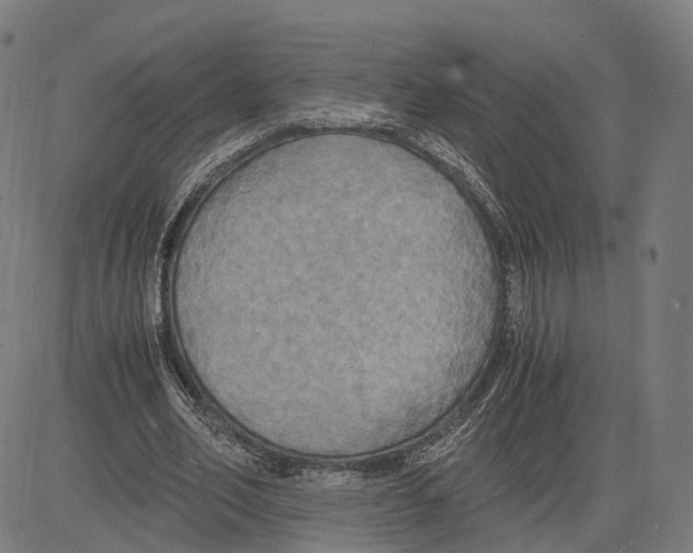 X0000083640582200703121722