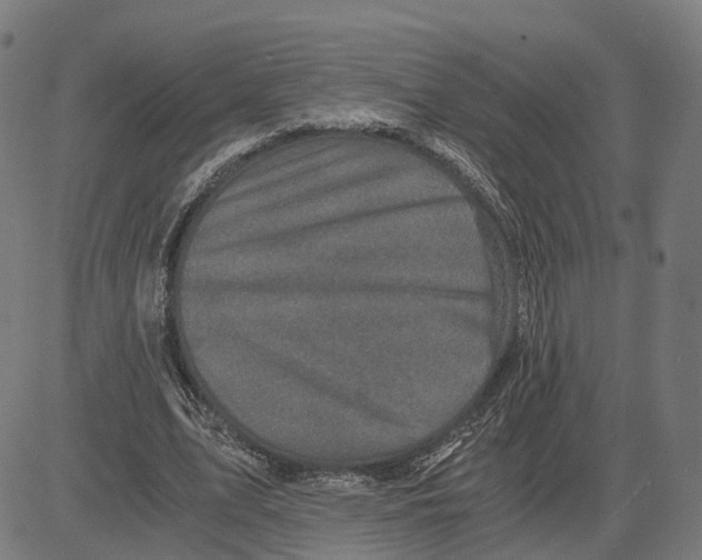 X0000083640583200703121722