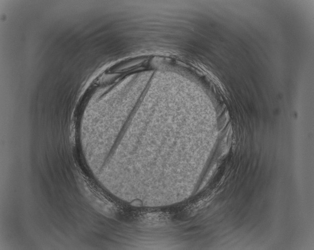 X0000083640584200703121722