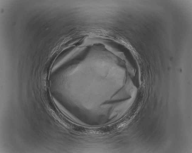 X0000083640585200703121722