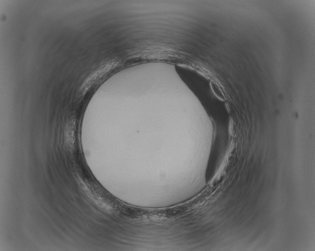 X0000083640586200703121722