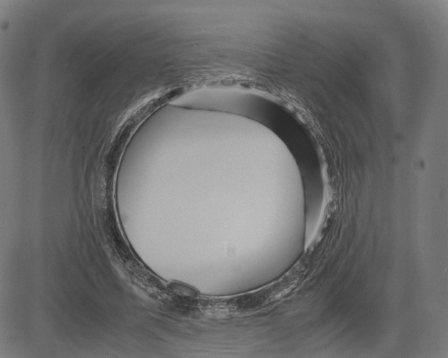 X0000083640587200703121722