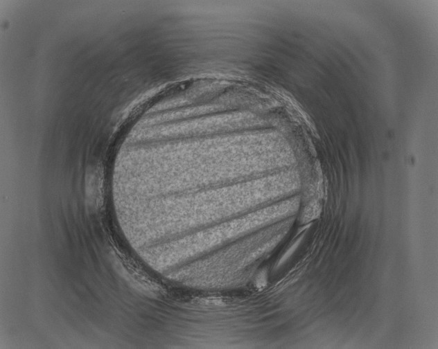 X0000083640588200703121722