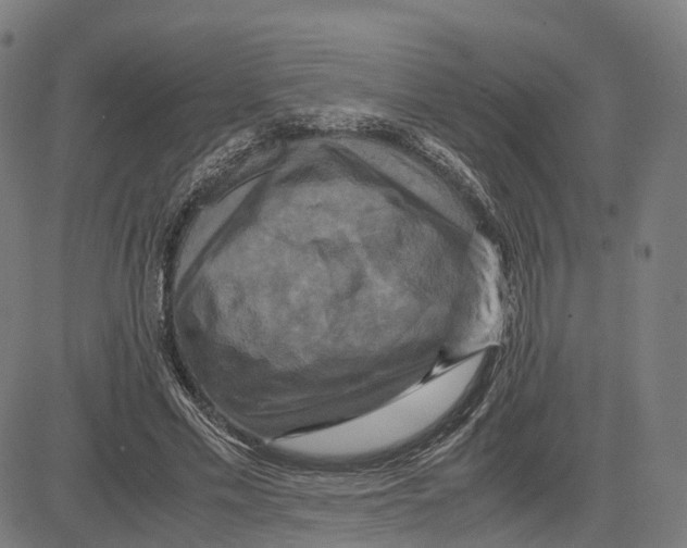 X0000083640589200703121722