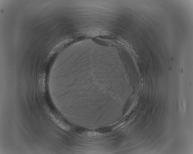 X0000083640590200703121722