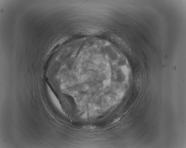 X0000083640591200703121722