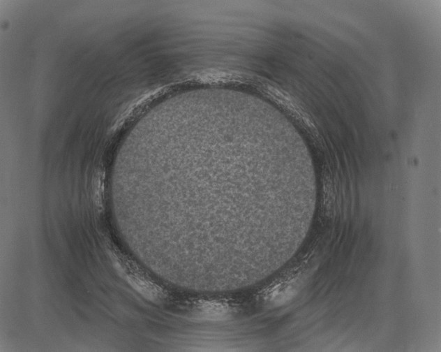 X0000083640592200703121722