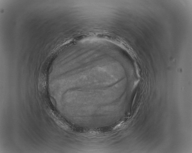 X0000083640593200703121722