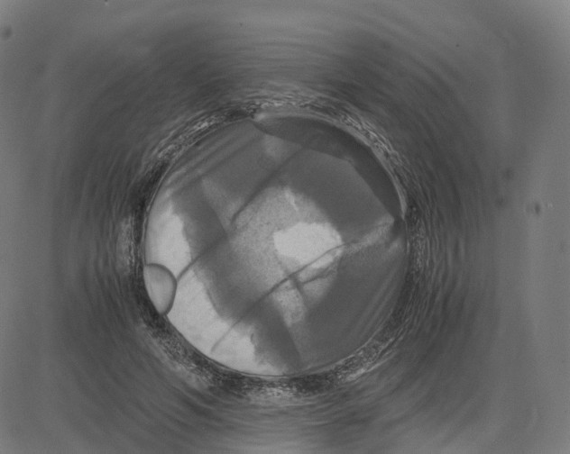 X0000083640594200703121722