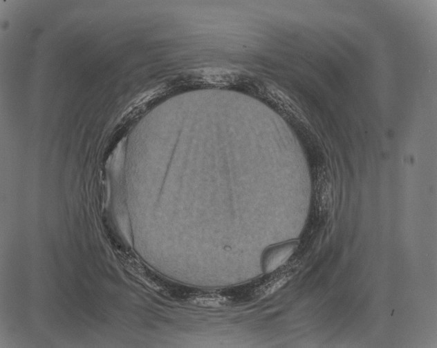 X0000083640595200703121722