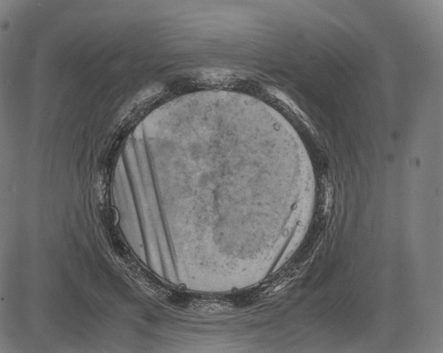 X0000083640597200703121721