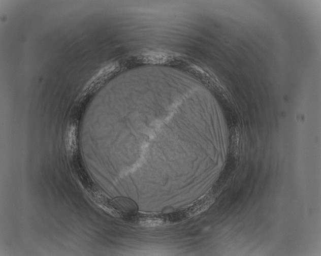 X0000083640598200703121721