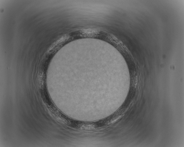 X0000083640599200703121721