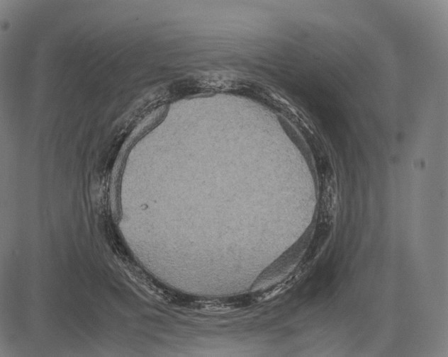 X0000083640601200703121721