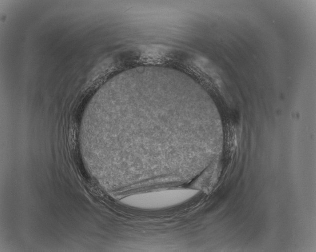 X0000083640603200703121721