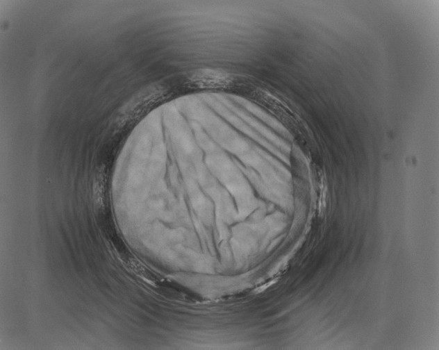 X0000083640604200703121721