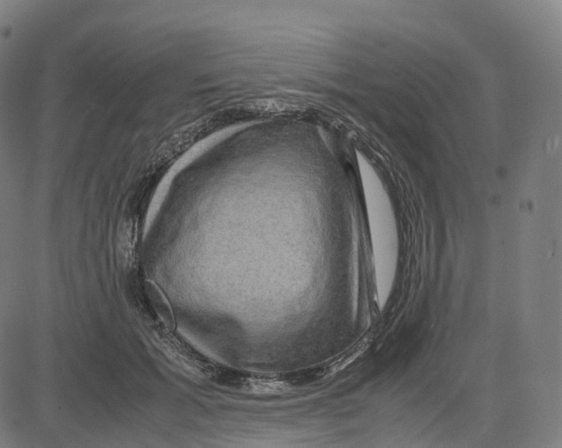 X0000083640605200703121721