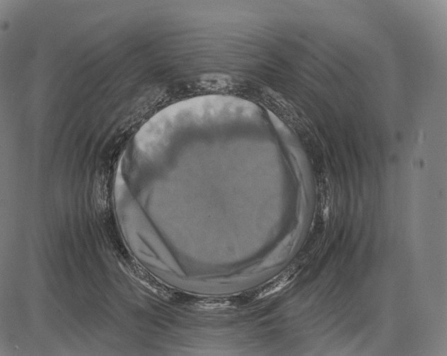 X0000083640606200703121721