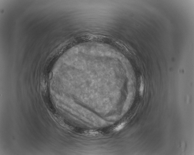 X0000083640607200703121721