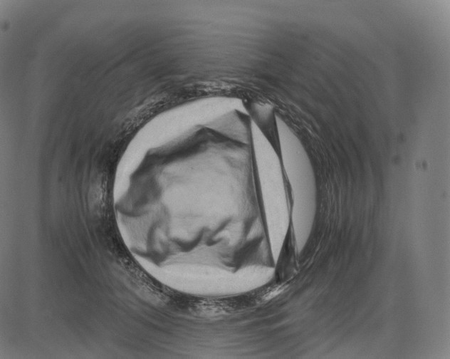 X0000083640608200703121721