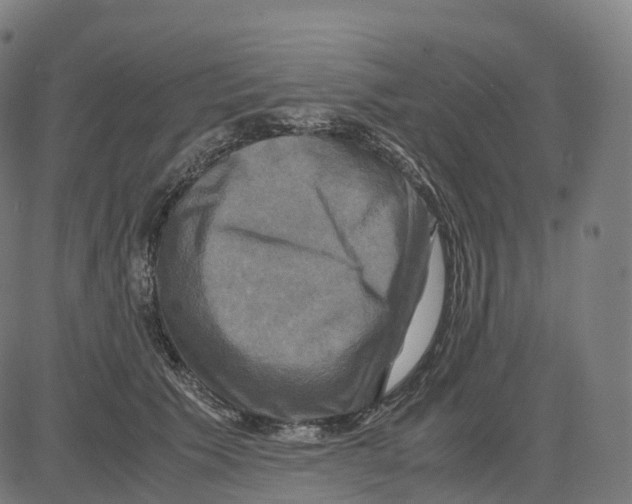 X0000083640609200703121721