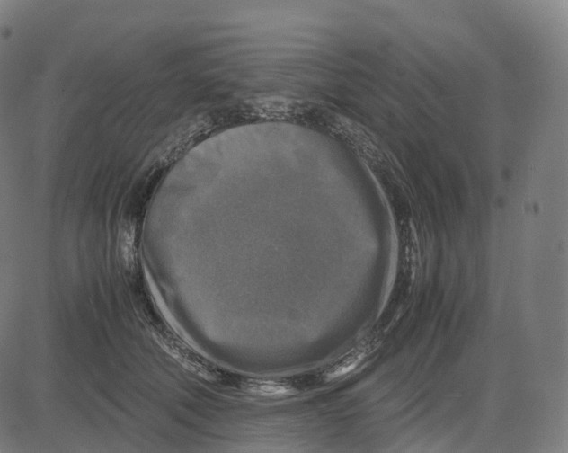 X0000083640610200703121721